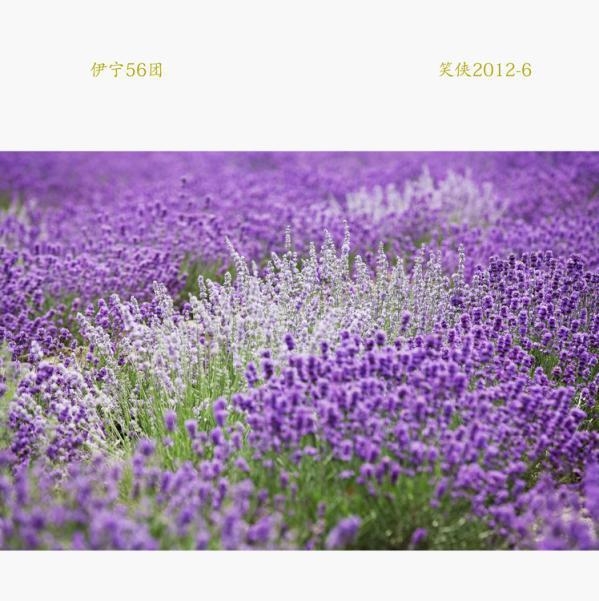去那片开满薰衣草的美味花园图片