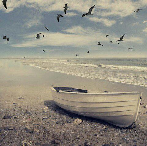 最新我潜入海底却像看穿蓝天图片