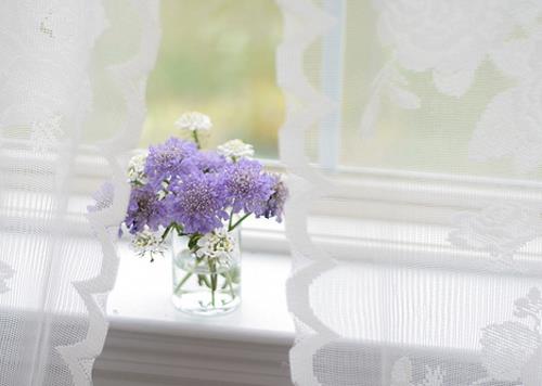 我猜一定是你让窗帘飞入我的梦图片