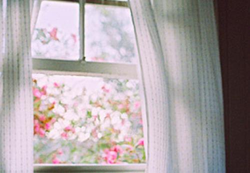 我猜一定是你让窗帘飞入我的梦图片