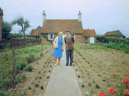 超美爱情的世界如此神秘而美妙图片