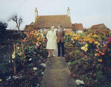 超美爱情的世界如此神秘而美妙图片