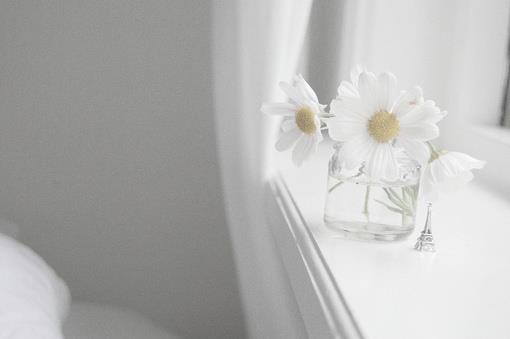 好看窗帘下那些证明你曾存在的痕迹图片