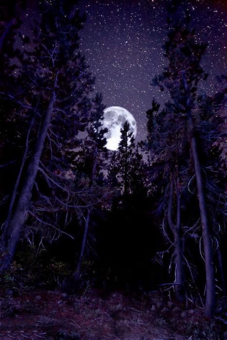 最新皎洁圆月源于对你的思念图片