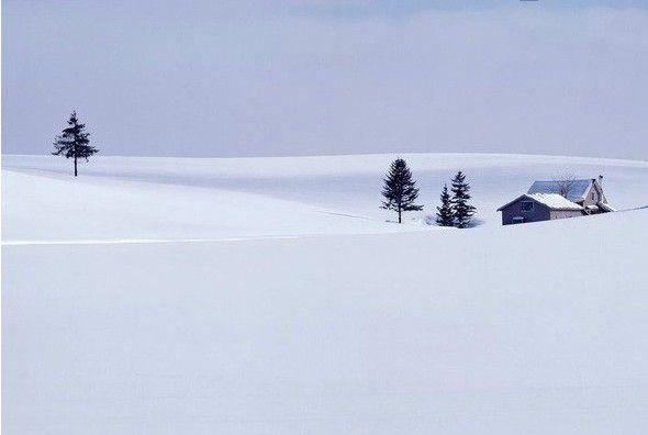 最新想着和你一起去看雪在雪地里留下我们的爱图片