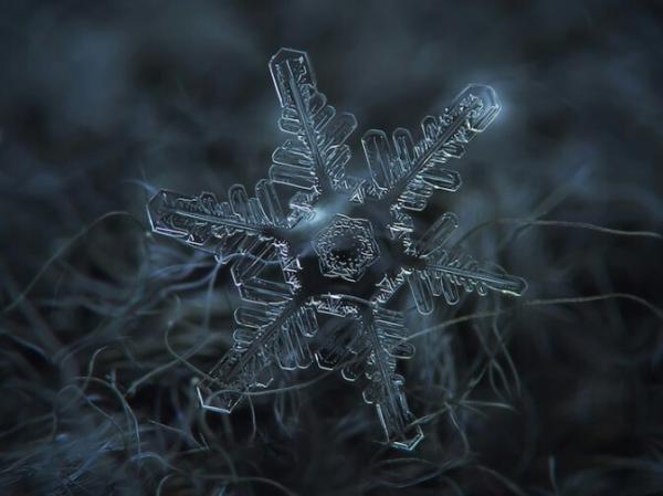 好看你就像天上飘落的雪花让我每次都期待图片