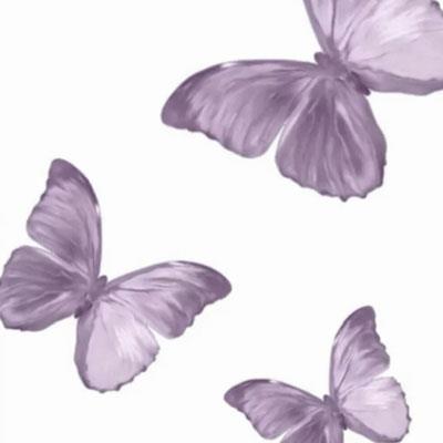 唯美蝴蝶背景简约淡雅，蝴蝶手绘意境头像图片