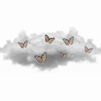 唯美蝴蝶背景简约淡雅，蝴蝶手绘意境头像图片