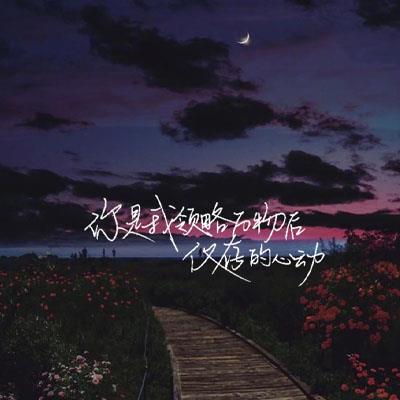 唯美风景爱情带文字语录，夜晚真实风景带字图片