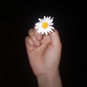 唯美单手拿小雏菊的夜晚，手拿小雏菊的女生头像图片