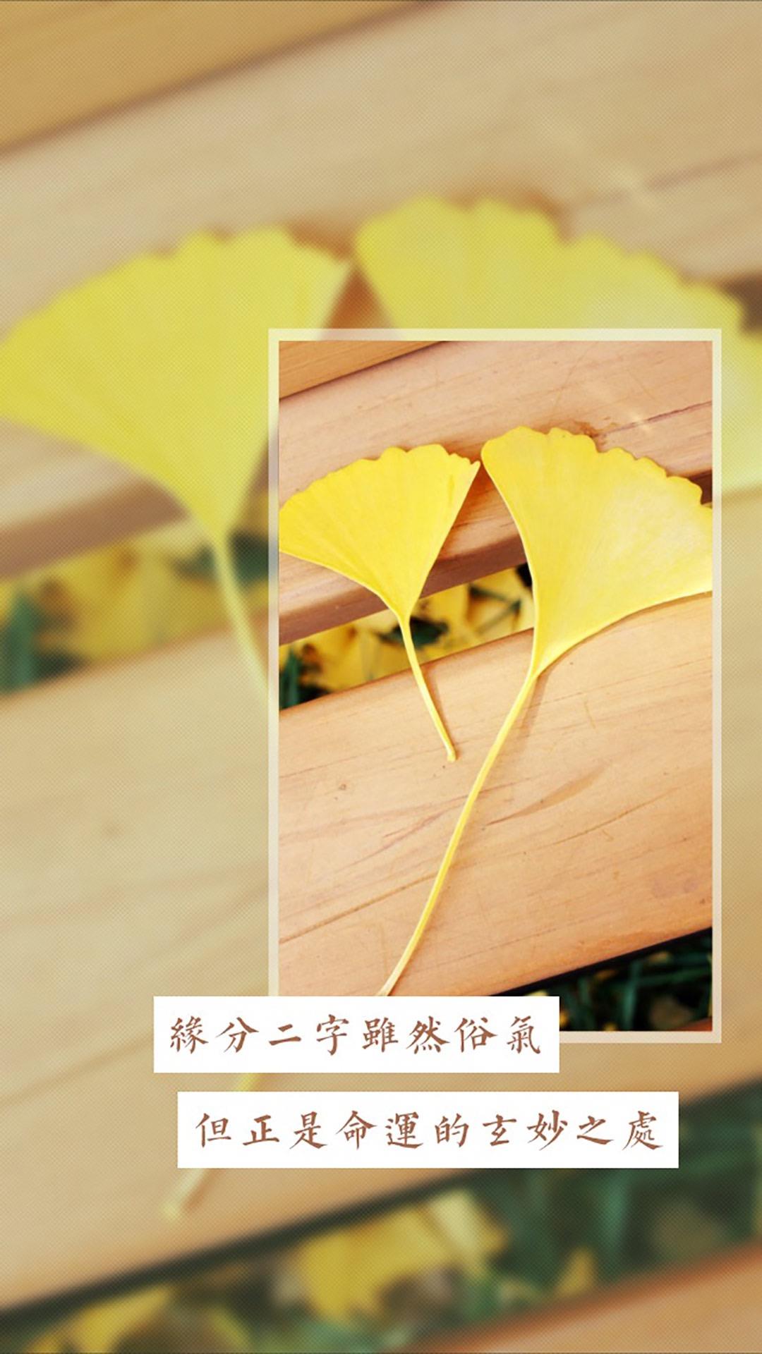 试过很多次，失望很多次，却还想再试一次唯美女生手机壁纸