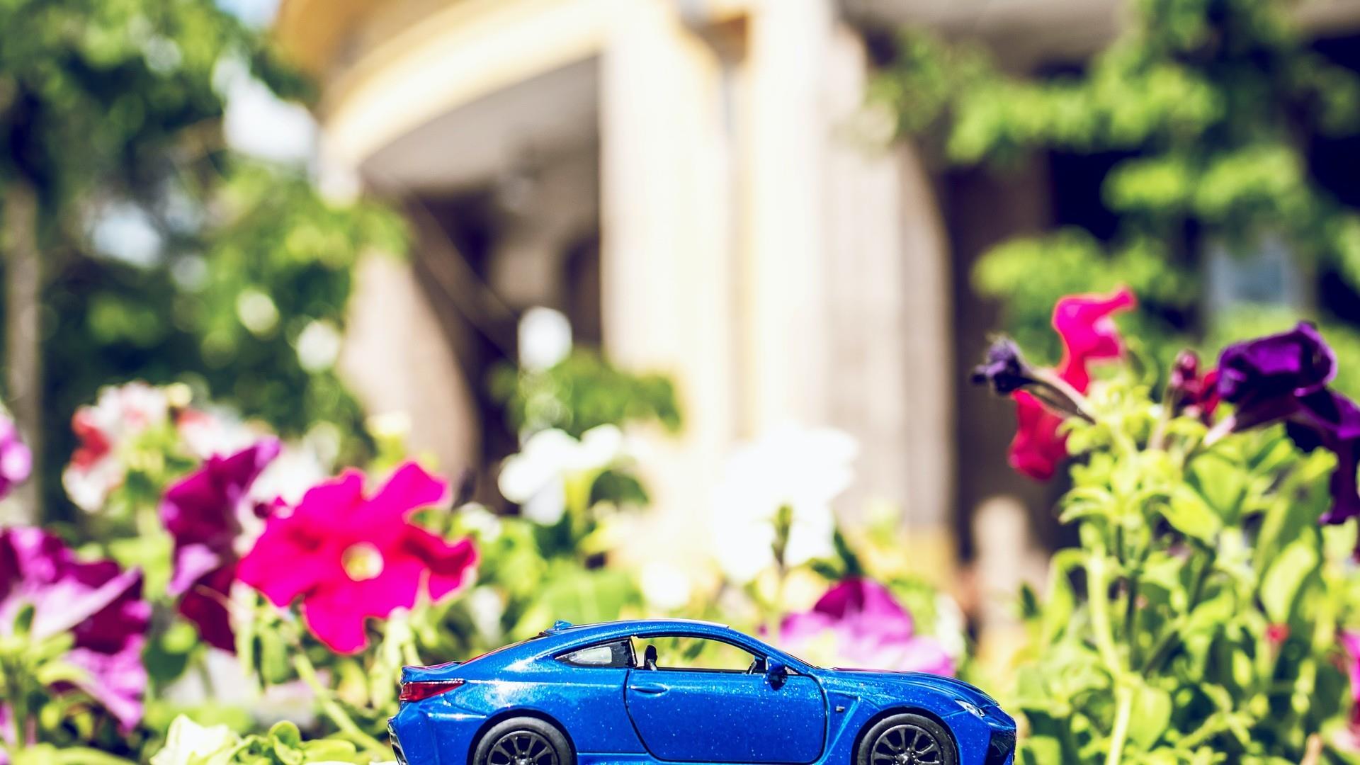 唯美精致可爱的玩具汽车图片桌面壁纸