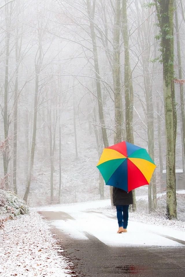 五颜六色好看的雨伞唯美手机壁纸图片