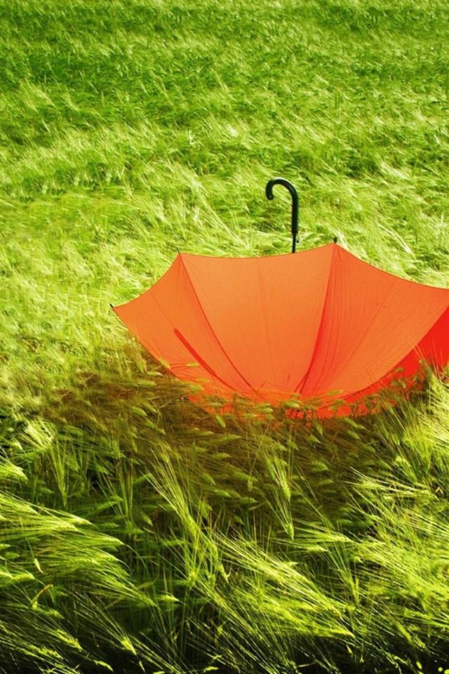 五颜六色好看的雨伞唯美手机壁纸图片