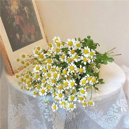 七月朋友圈早安说说唯美鲜花配图