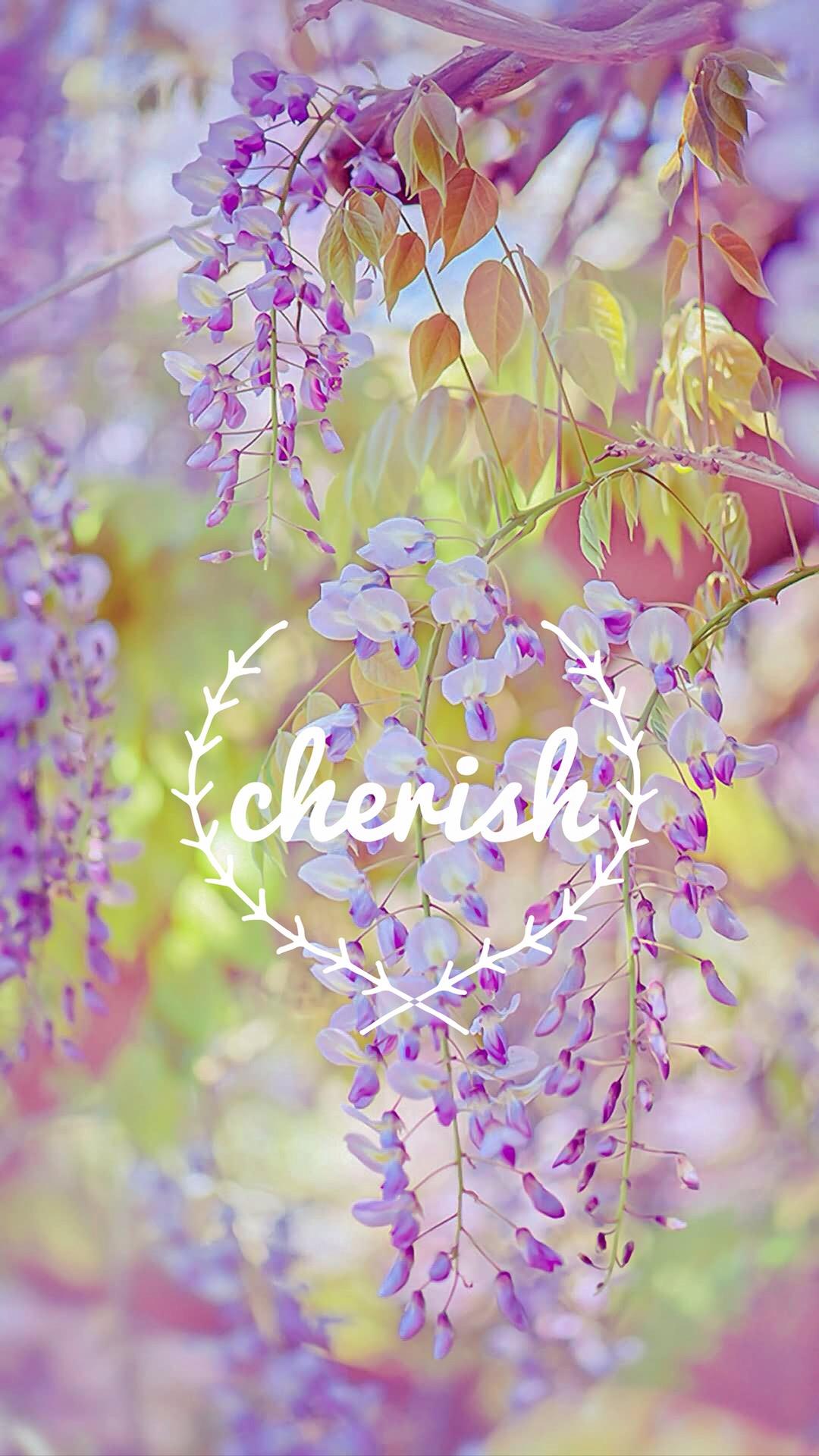 唯美紫色花朵英文手机文字壁纸图片