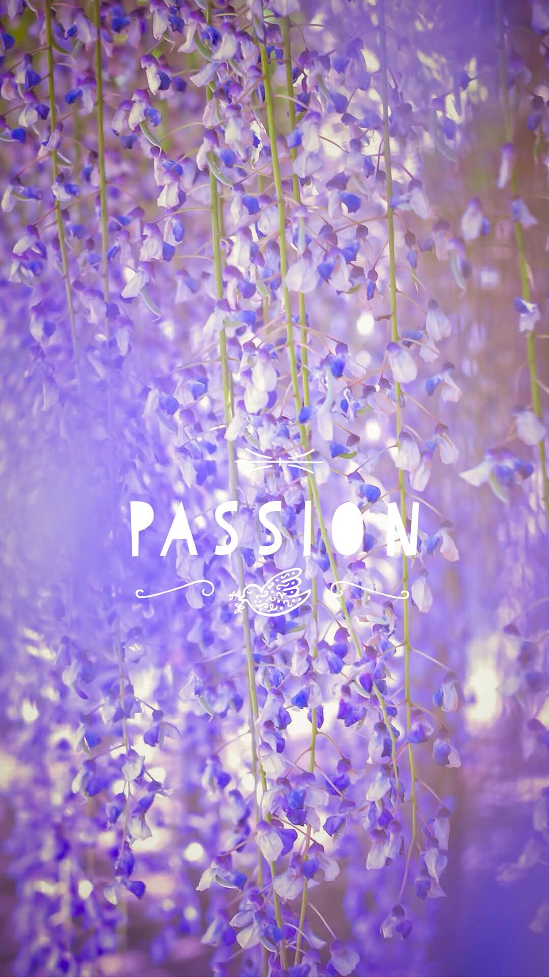 唯美紫色花朵英文手机文字壁纸图片