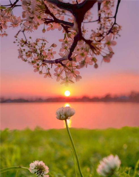 唯美的湖边日落黄昏壁纸图片