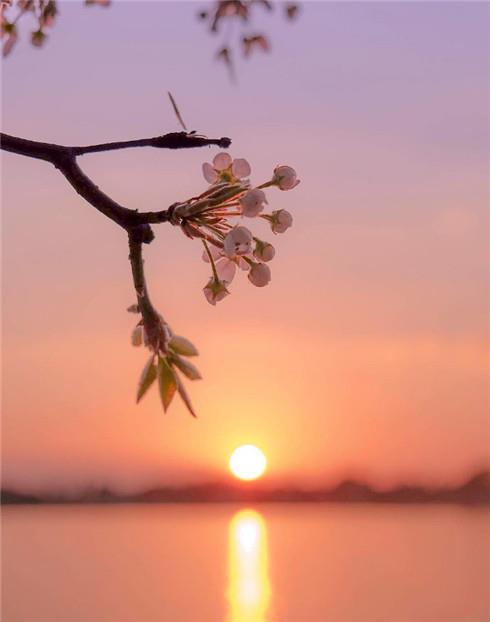 唯美的湖边日落黄昏壁纸图片