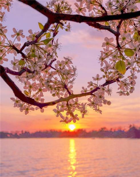 唯美的湖边日落黄昏壁纸图片