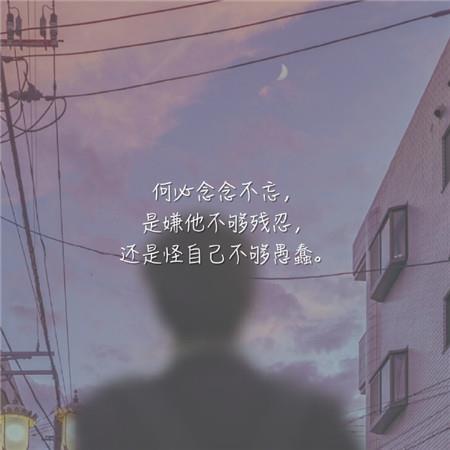 最新伤感图片带字唯美 毋庸置疑无能为力