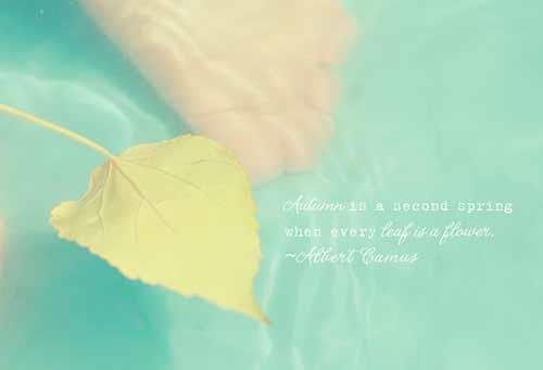 小清新淡雅意境可爱图片