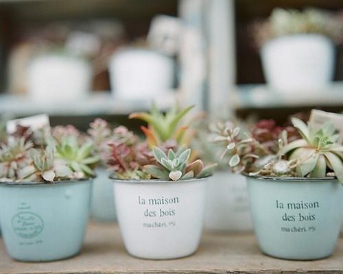 早安唯美意境小清新图片