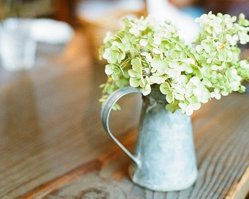 唯美可爱小清新祝福图片