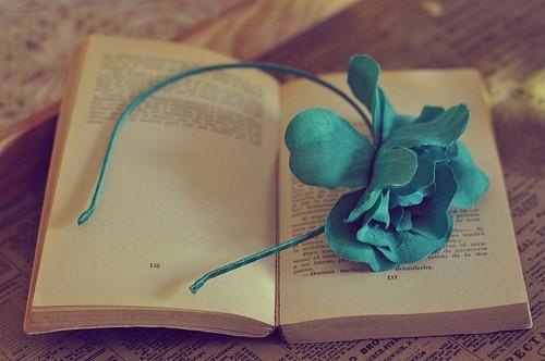 关于阅读书籍唯美意境图片