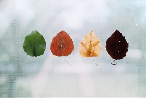 小清新文艺可爱图片