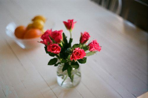 唯美植物图片小清新大全