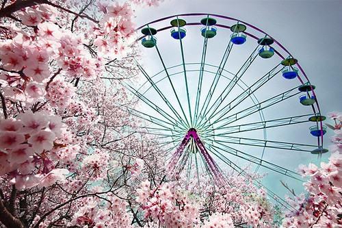 浪漫唯美可爱摩天轮图片