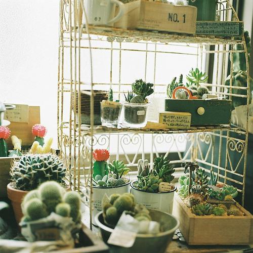 小清新文艺咖啡甜点小店