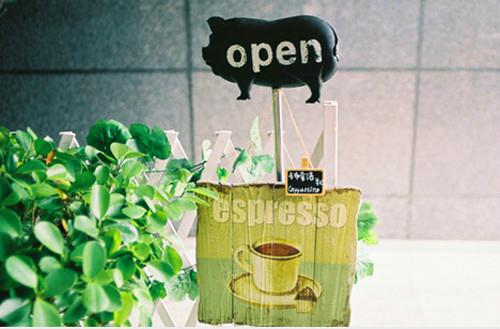 可爱文艺植物花卉意境图片