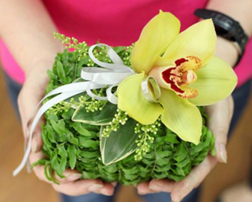 可爱文艺植物花卉意境图片