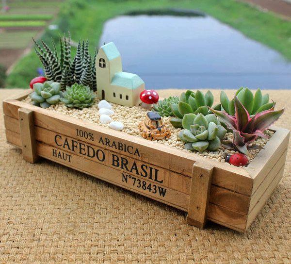 可爱的多肉植物大全