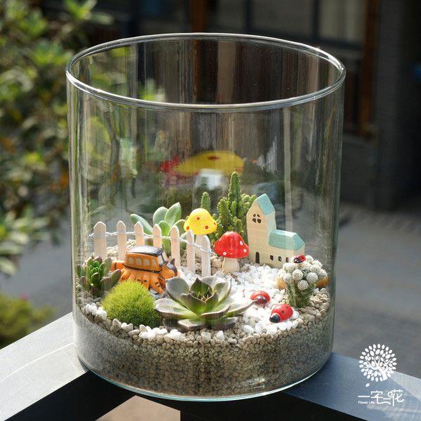 可爱的多肉植物大全