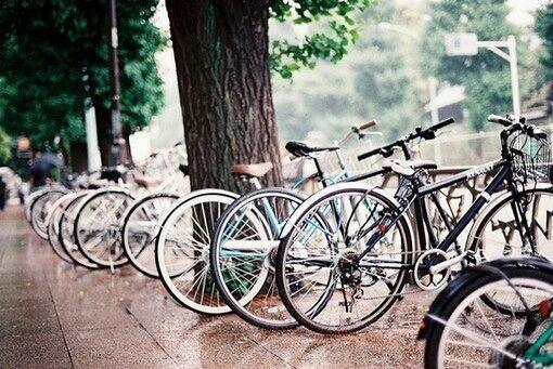 安静的高考毕业后校园图片