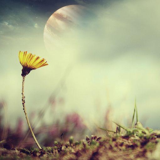 早上好唯美图片