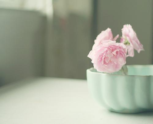 优美温馨小清新文艺图片