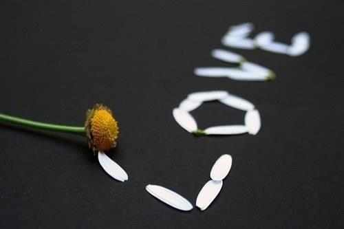 LOVE爱情唯美图片大全