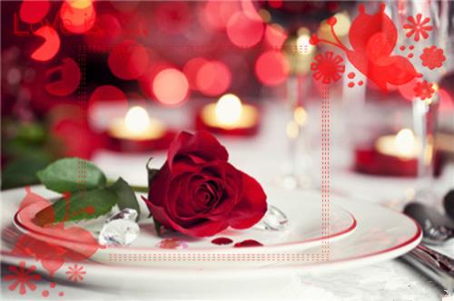 情人节玫瑰花玫瑰图片大全