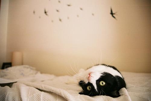 可爱唯美意境图片大全