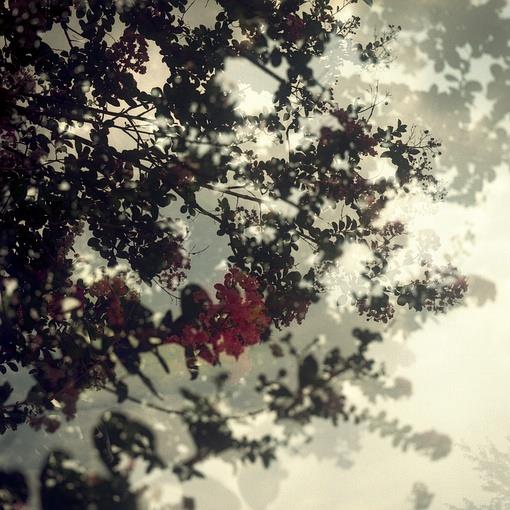 可爱唯美意境图片大全