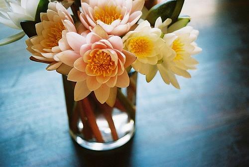 可爱的花儿LOMO图片三