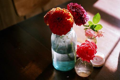 可爱的花儿LOMO图片