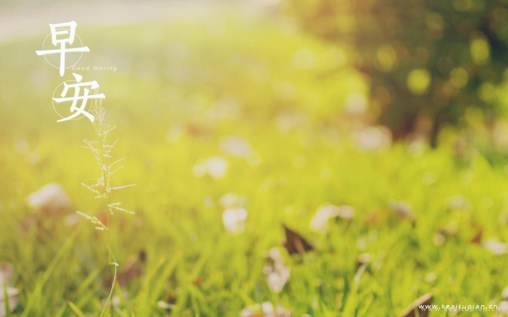唯美的清晨风景早安图片壁纸