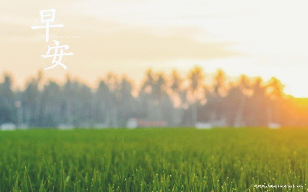 唯美的清晨风景早安图片壁纸