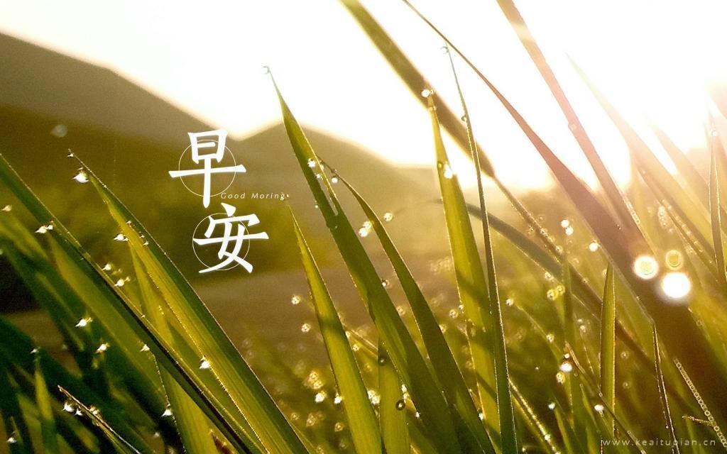 2021年早安文字清新风景桌面壁纸图片