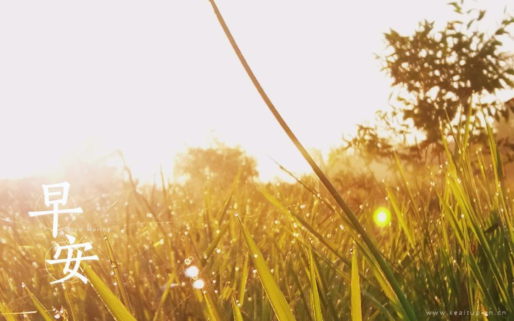 2021年早安文字清新风景桌面壁纸图片